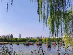 -武汉园博园(武汉自然博物馆)