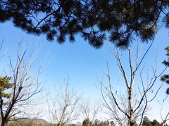 -北京西山国家森林公园