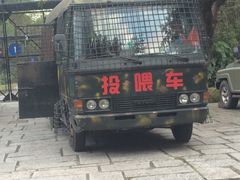-深圳野生动物园