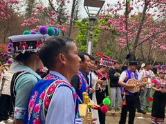 -洛龙公园