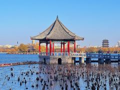 -济南大明湖景区