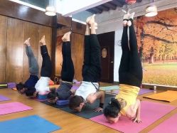 -加帕瑜伽培训学院