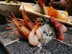 -鲤·鮨KOISUSHI