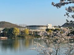 -羊山湖公园