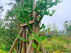 -枫香湖儿童公园