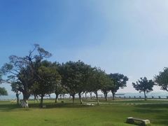 -大湾区中央湿地公园