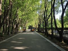 -同里国家湿地公园