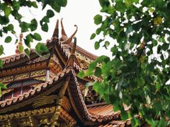 -西双版纳勐泐文化旅游区