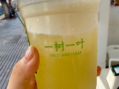 -一树一叶·福建茶档(石鼓路店)
