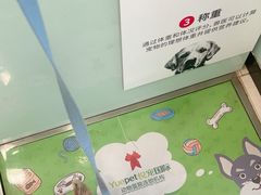 -悦宠凯宝动物医院·牙科·皮肤科(朝阳北路店)