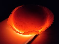 -巴莉甜甜(中环城店)