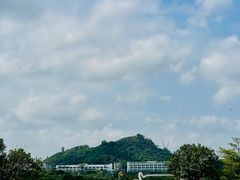 -光明小镇欢乐田园
