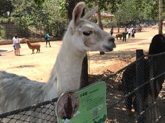 -大连森林动物园