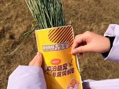 -杭州开元森泊度假乐园