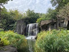 -荔枝公园(福田区)