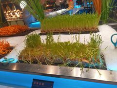 -V-ONE西雅图海鲜自助餐厅(仓山万达广场店)