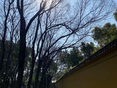 -西园戒幢律寺