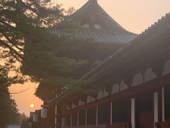 -奈良公园