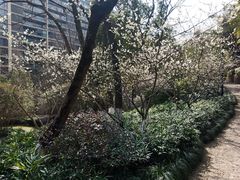 -杭州半山国家森林公园