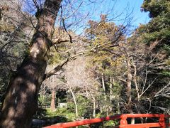 -无印良品(池袋西武店)