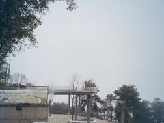 -缙云山景区