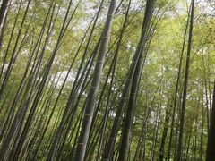 景点-陶祖圣境风景区
