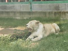-郑州市动物园