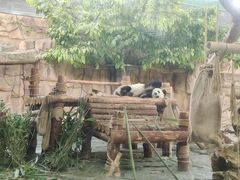 -泉州海丝野生动物世界