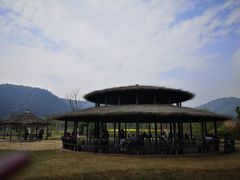 -径山花海