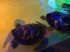 -华夏文旅西安度假区