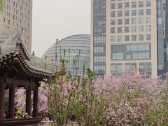 -海棠花溪(元大都城垣遗址公园)