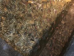 -明谷行馆·温泉
