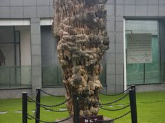 -金钉子远古世界景区