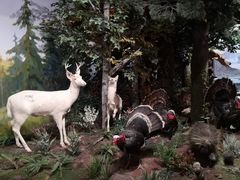 -陕西自然博物馆