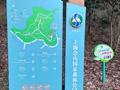 -上海佘山国家森林公园天马山园