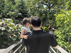 -新加坡飞禽公园