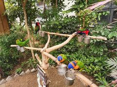 -南宫五洲植物乐园