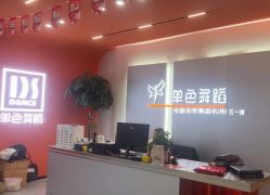 -单色舞蹈