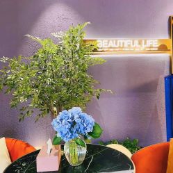 -花隐·美芙炫海菲秀皮肤管理中心