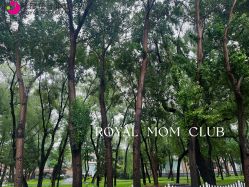 -皇家月府月子中心(沈阳店)