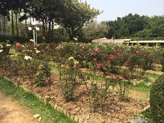 -人民公园(罗湖区)