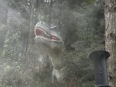 -贵州森林野生动物园