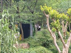-黄公望隐居地