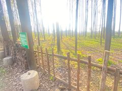 -林间山庄