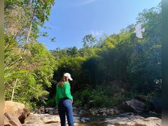 -广州白江湖森林公园