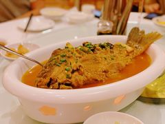 红烧黄河大鲤鱼-豫满楼(郑东新区店)