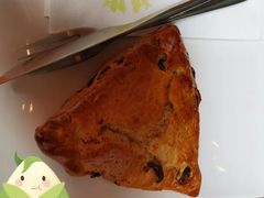 香草味蒸气奶-星巴克臻选(广州高德置地秋广场店)