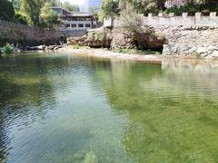 -齐王寨景区