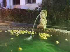 -余姚阳明温泉山庄