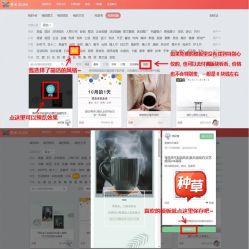 点击看大图 -美薇亭婚礼顾问